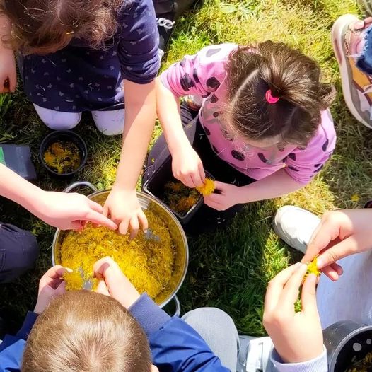 404564319_729881482507225_7402033400017785993_n