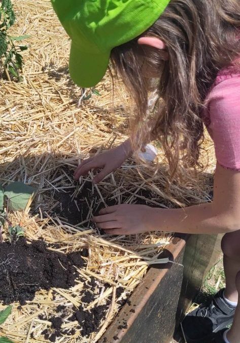 WhatsApp Image 2024-06-03 at 13.41.34_12f50458